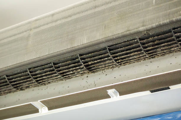 Best Residential Air Duct Cleaning  in Harbor Beach, MI